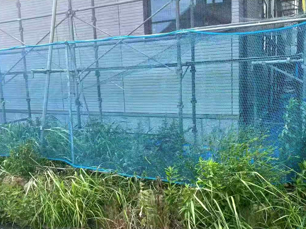 垂直ネット